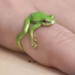 Frog Hugging Ring