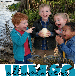 4.5” Jumbo Magic Hatching Alligator Egg